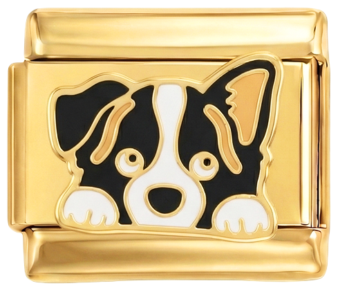 Image de diapositive