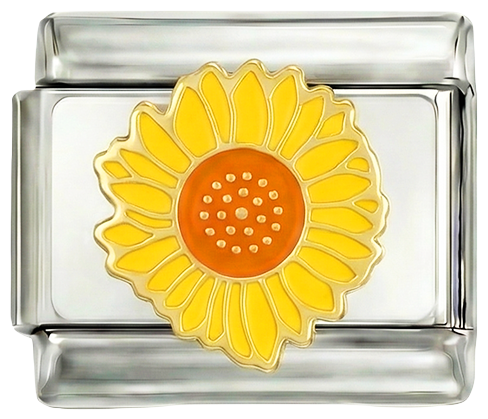 Image de la diapositive