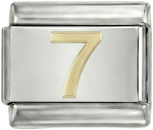 Number 7 on Silver - number-7-on-silver-1.png