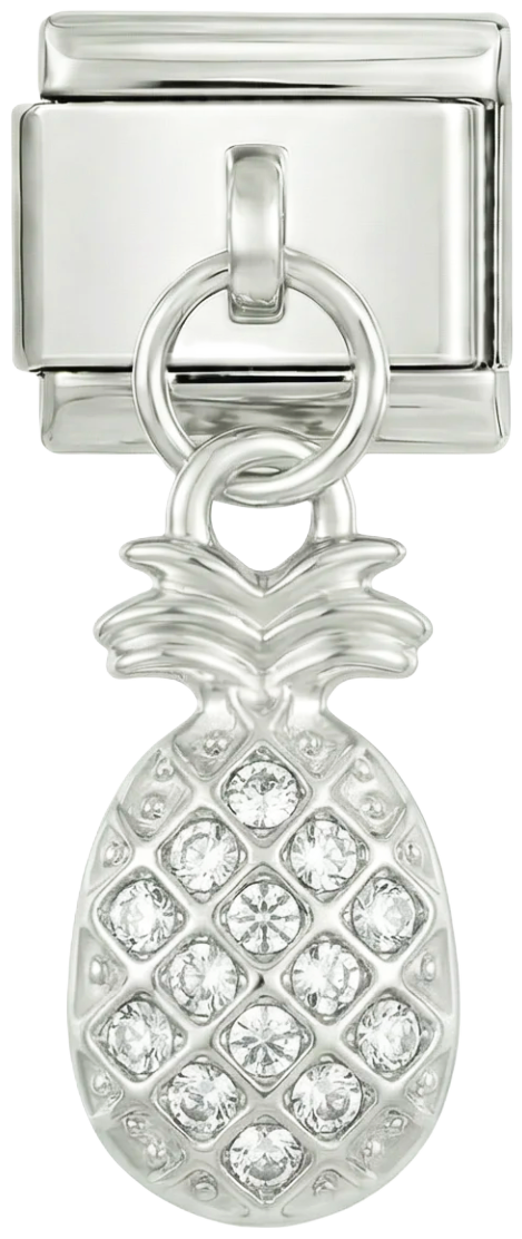 Ananas avec pierres, sur argent